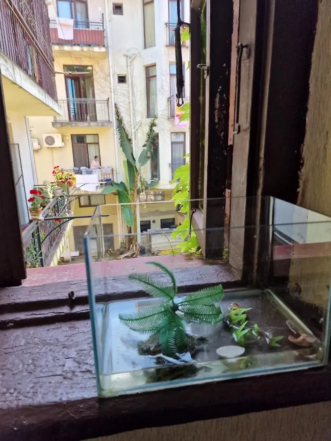 Apartment In Batumi